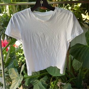 Vince 100% cotton cropped white t shirt